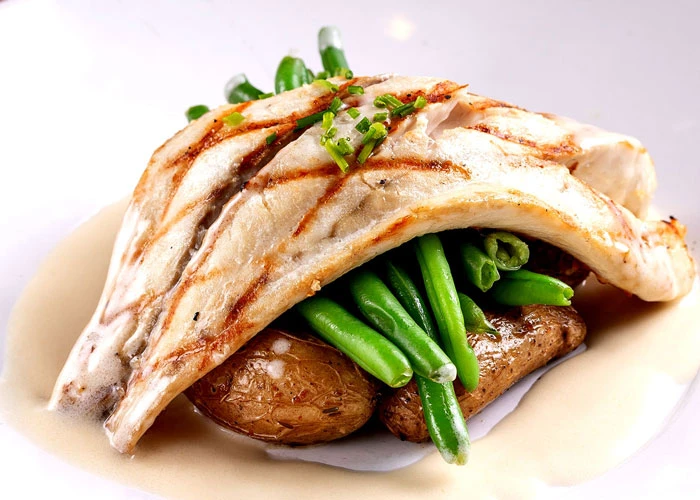 Gulf Red Snapper